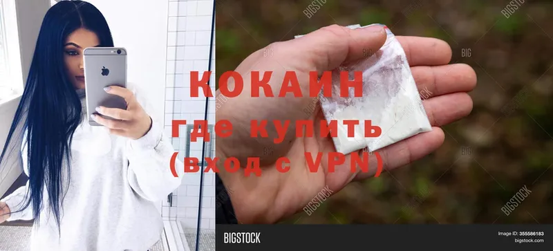 маркетплейс как зайти  Краснослободск  Cocaine Fish Scale  дарнет шоп 