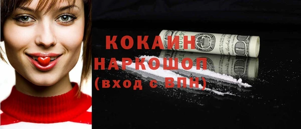 амф Няндома