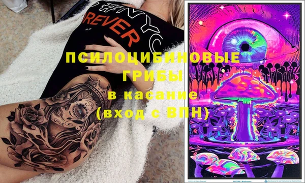 мяу мяу мука Осташков