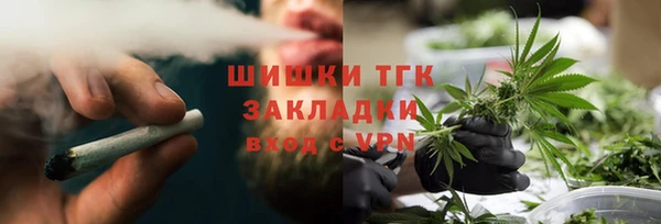 амф Няндома