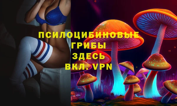 mdpv Нягань