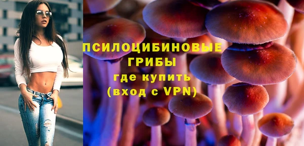 амф Няндома