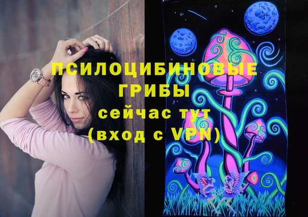 соль ск Осинники
